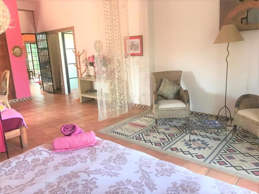 Hotel Casa Jardin Del Tuito Extérieur photo